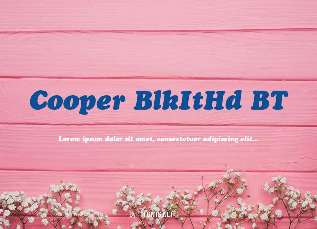 Cooper BlkItHd BT example